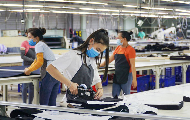 Hơn 20% doanh nghiệp tại TP Hồ Chí Minh có doanh thu tăng - Ảnh 1.