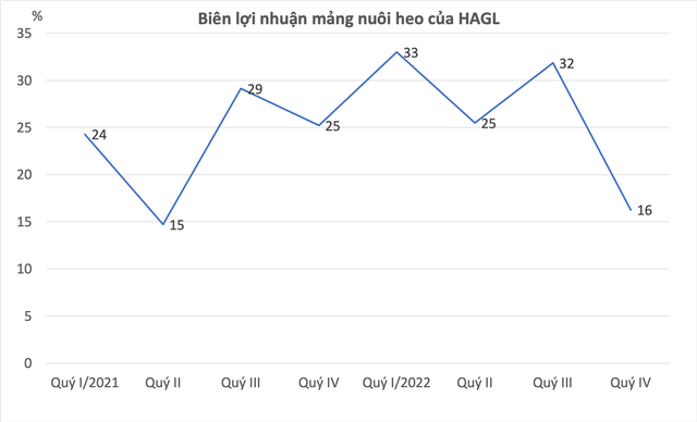  Biên lợi nhuận mảng heo ăn chuối gần chạm đáy, HAGL sẽ thoát nạn như lời bầu Đức từng tuyên bố?  - Ảnh 2.