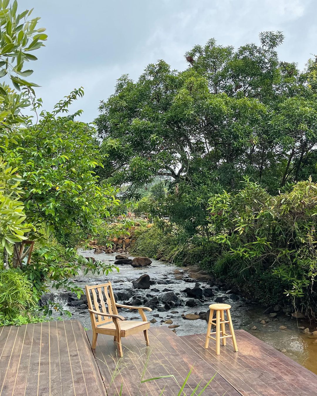 Các quán cà phê ở Bảo Lộc bắt đầu rộ lên: Cũng nằm giữa rừng núi, đầy góc sống ảo nhưng lại rất yên bình - Ảnh 8.