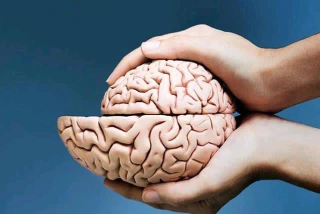 Khi não bắt đầu teo lại, cơ thể có 4 dấu hiệu không thể giấu giếm - Ảnh 1.