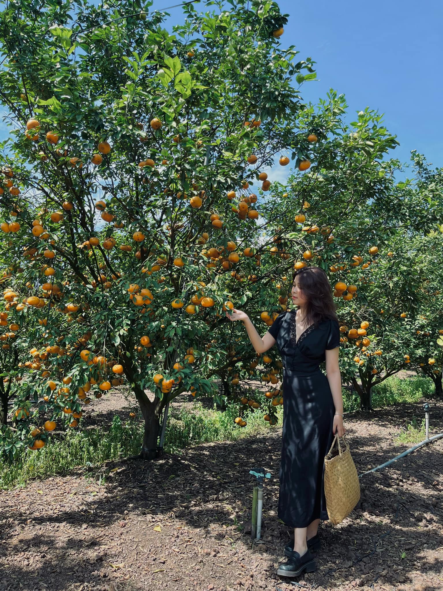 Không hổ danh nhiều thứ “độc lạ” tại Bình Dương, đến các khu tổ hợp vui chơi cũng đa dạng và cực xịn - Ảnh 12.