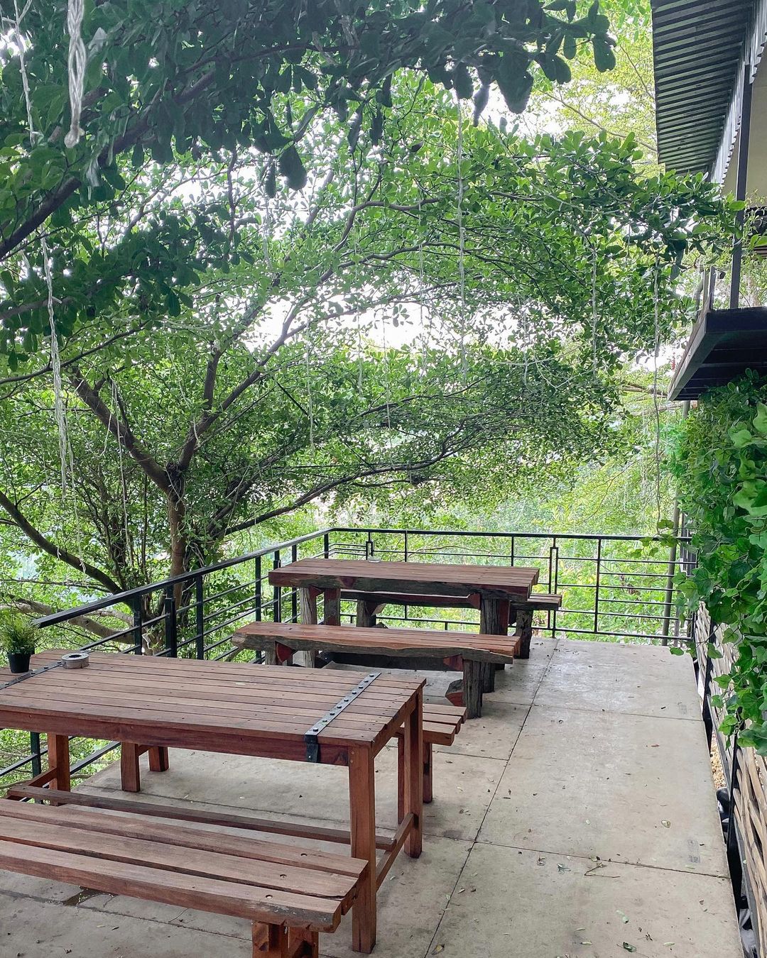 Không hổ danh nhiều thứ “độc lạ” tại Bình Dương, đến các khu tổ hợp vui chơi cũng đa dạng và cực xịn - Ảnh 4.