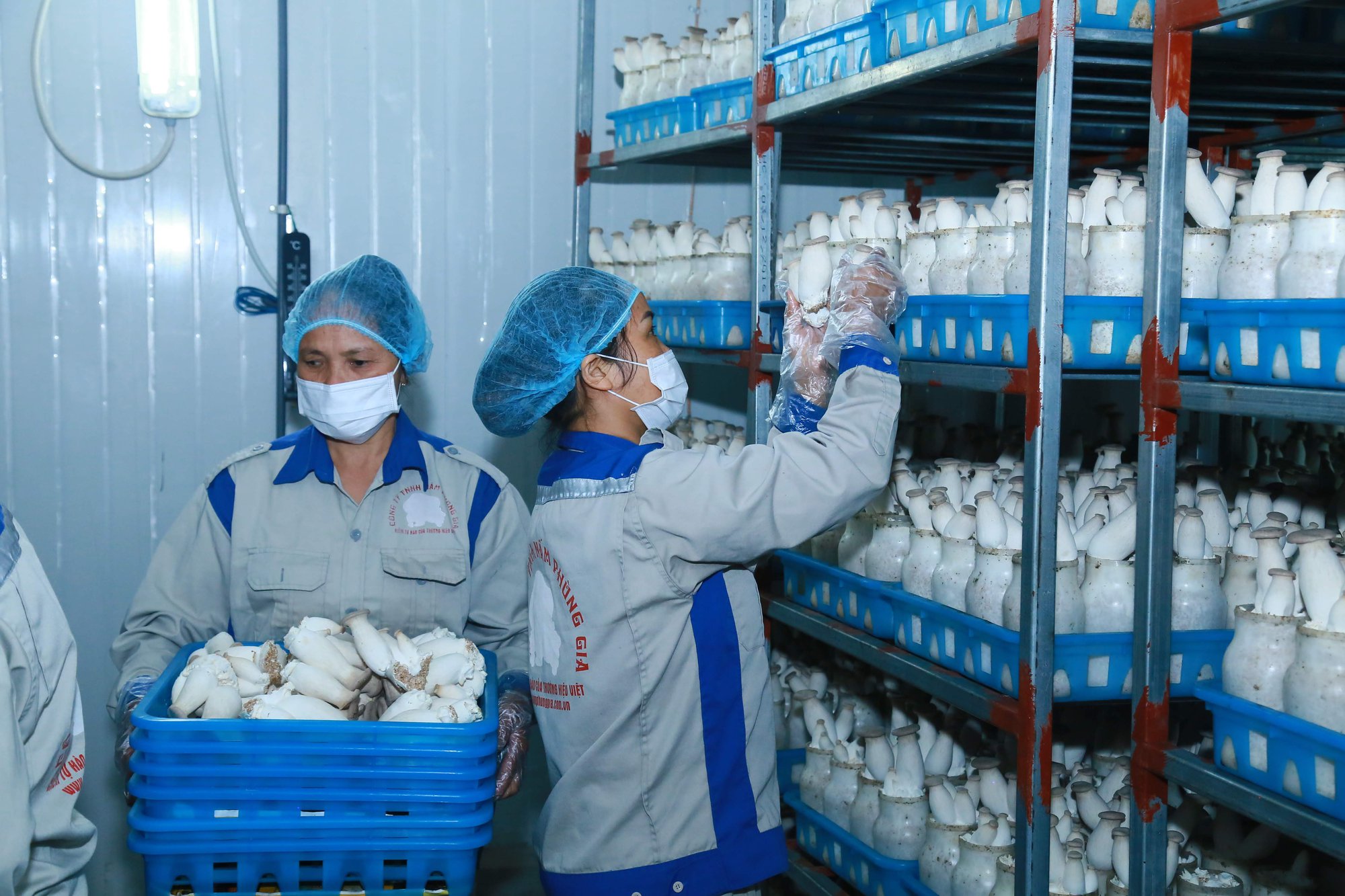 Kinh tế tuần hoàn và cơ hội cho doanh nghiệp - Ảnh 1. Kinh tế tuần hoàn và cơ hội cho doanh nghiệp - Ảnh 1.