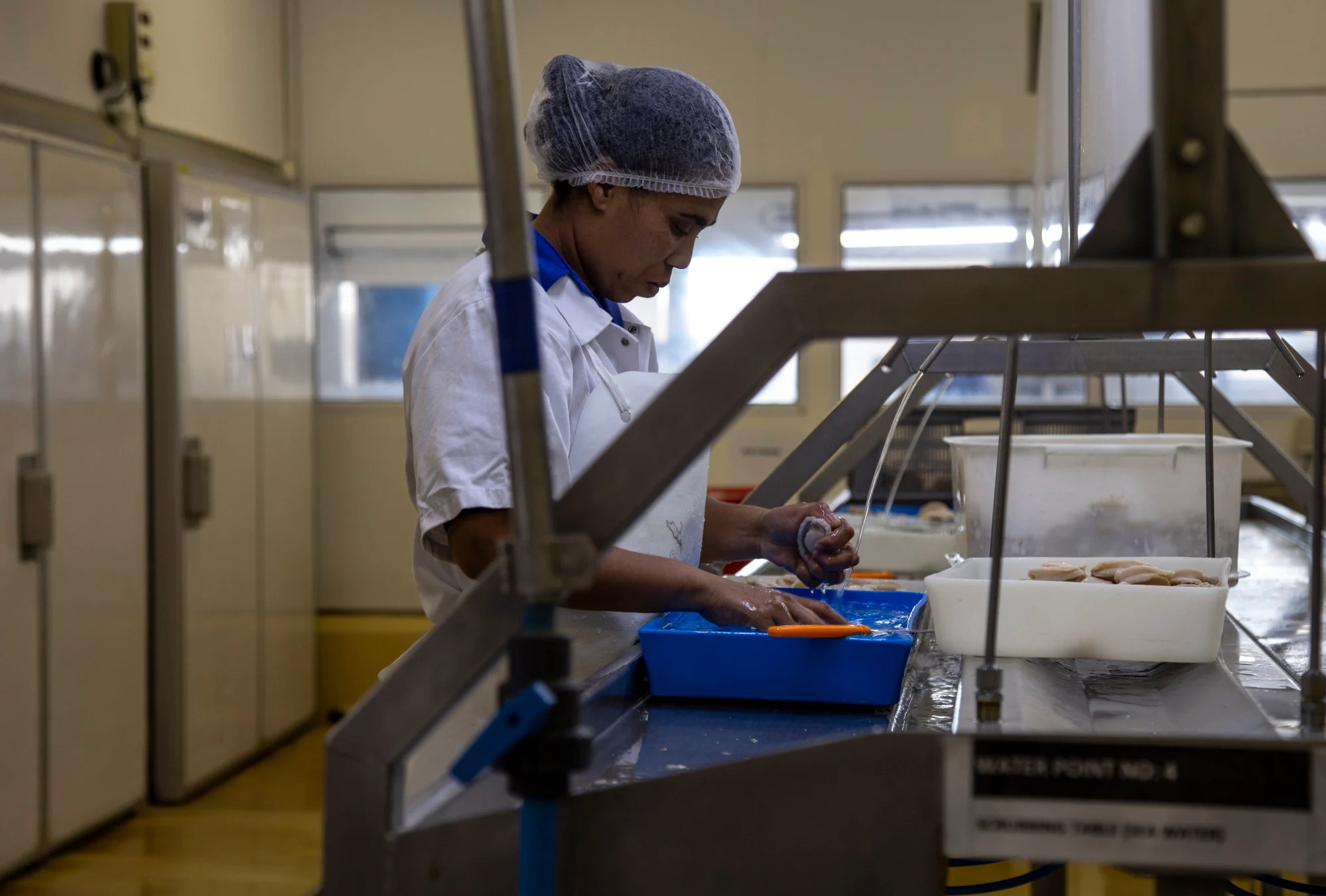 Loài hải sản ví như vàng trắng: Miếng cơm của ngàn người nhưng cũng là nguồn cơn của tội phạm có tổ chức quốc tế - Ảnh 8.