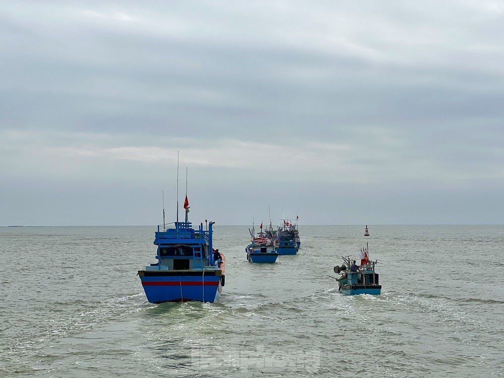 Một đêm ra khơi ngư dân Quảng Ngãi sắm được... 1 chỉ vàng - Ảnh 28.