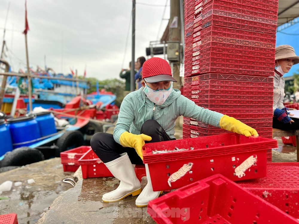 Một đêm ra khơi ngư dân Quảng Ngãi sắm được... 1 chỉ vàng - Ảnh 19.