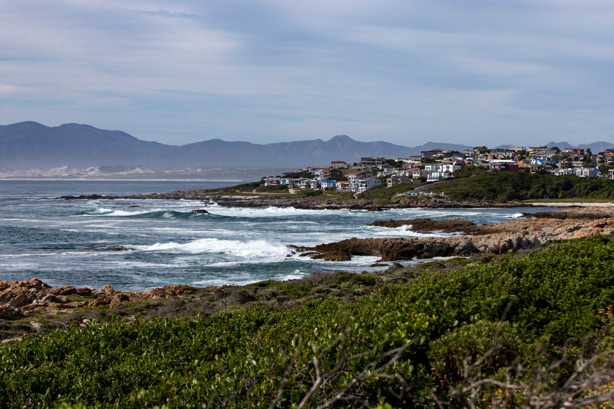 Loài hải sản ví như vàng trắng: Miếng cơm của ngàn người nhưng cũng là nguồn cơn của tội phạm có tổ chức quốc tế - Ảnh 2.