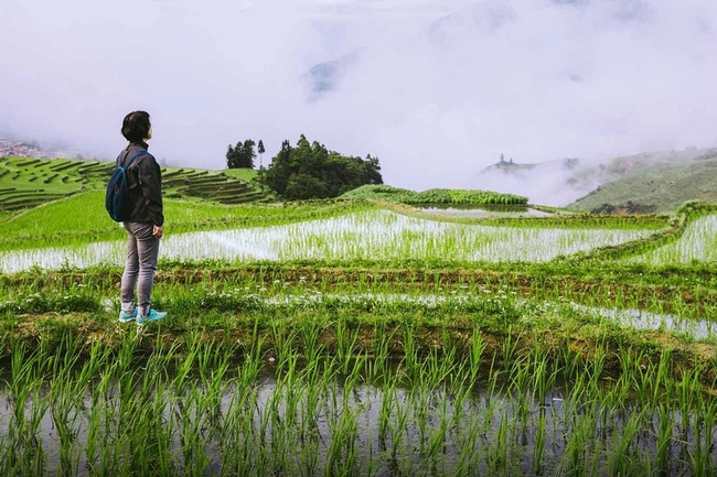 Bán nhà phố lấy 17 tỷ về quê được 1 năm, tôi sống chết tìm đường quay lại thành phố: Nếu không giải quyết điều này thì rất khó an nhàn - Ảnh 4.