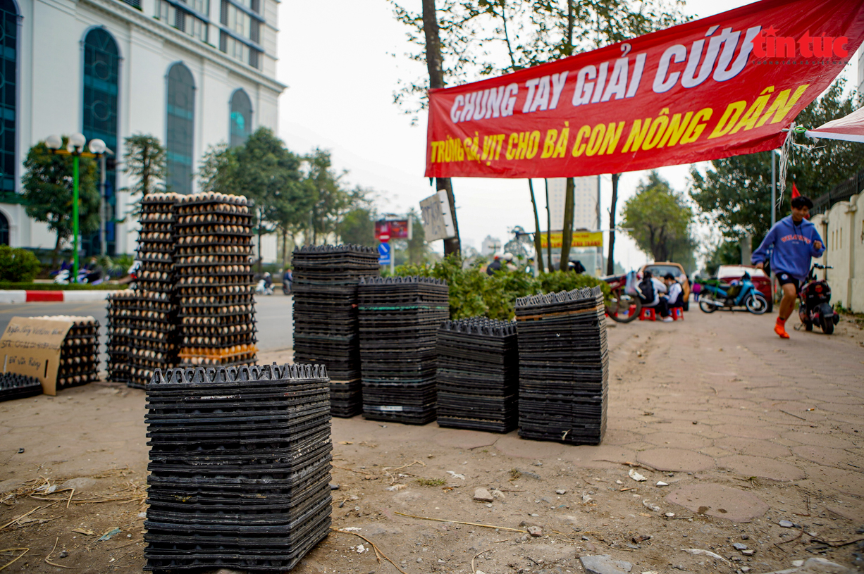 Cần làm rõ nguồn gốc những quả trứng gà, vịt giải cứu ở Hà Nội - Ảnh 10.