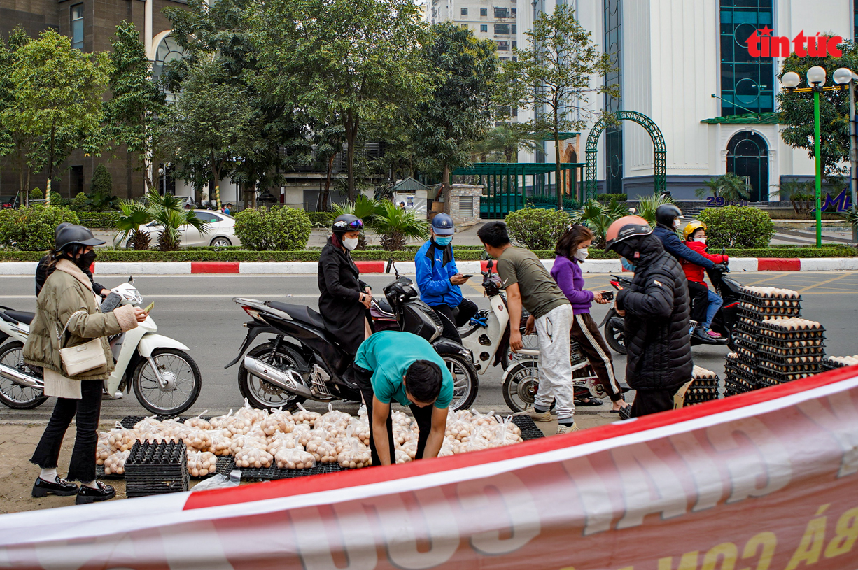 Cần làm rõ nguồn gốc những quả trứng gà, vịt giải cứu ở Hà Nội - Ảnh 1.