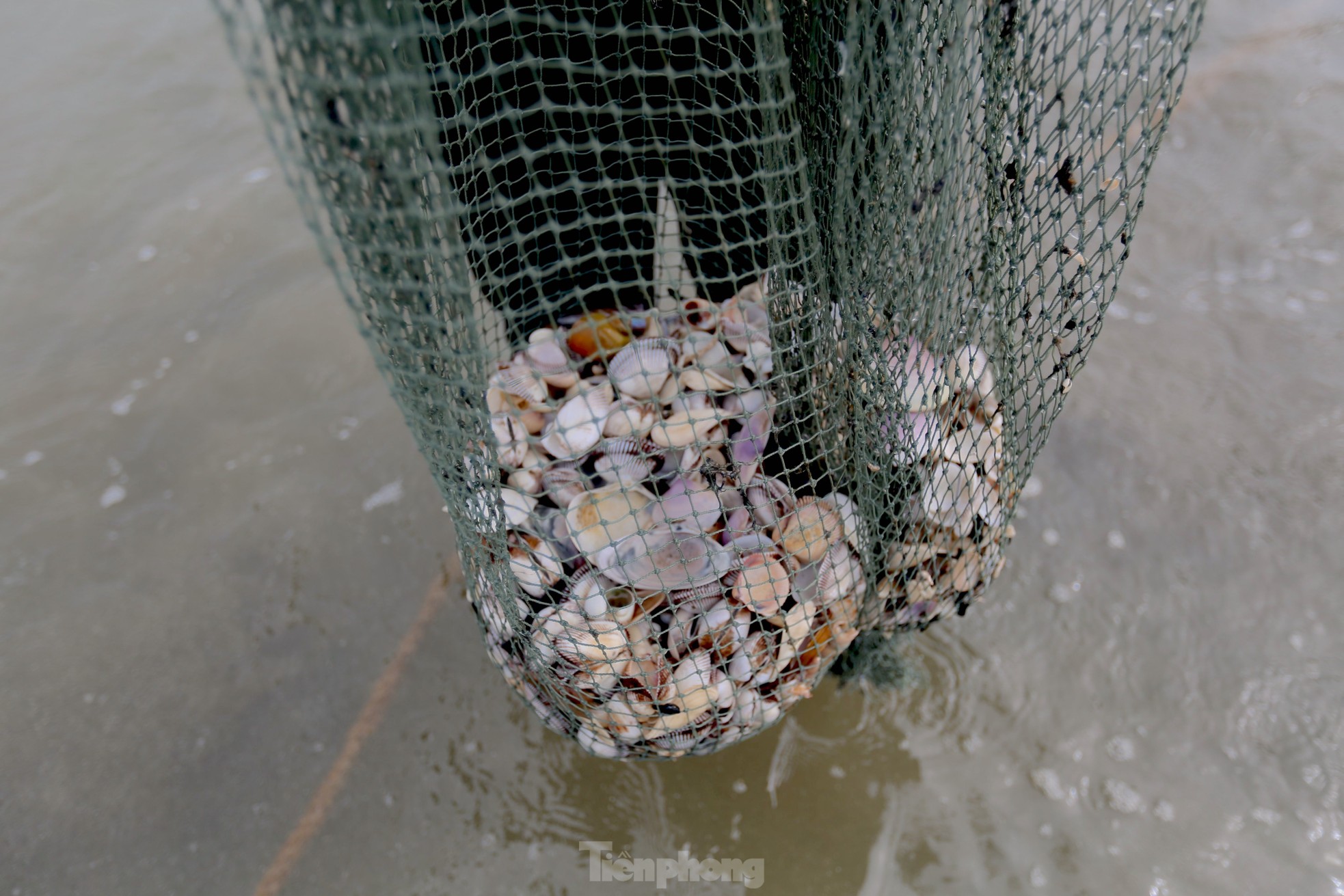 Hàng trăm người ngâm mình trong giá lạnh để săn lộc trời - Ảnh 13.