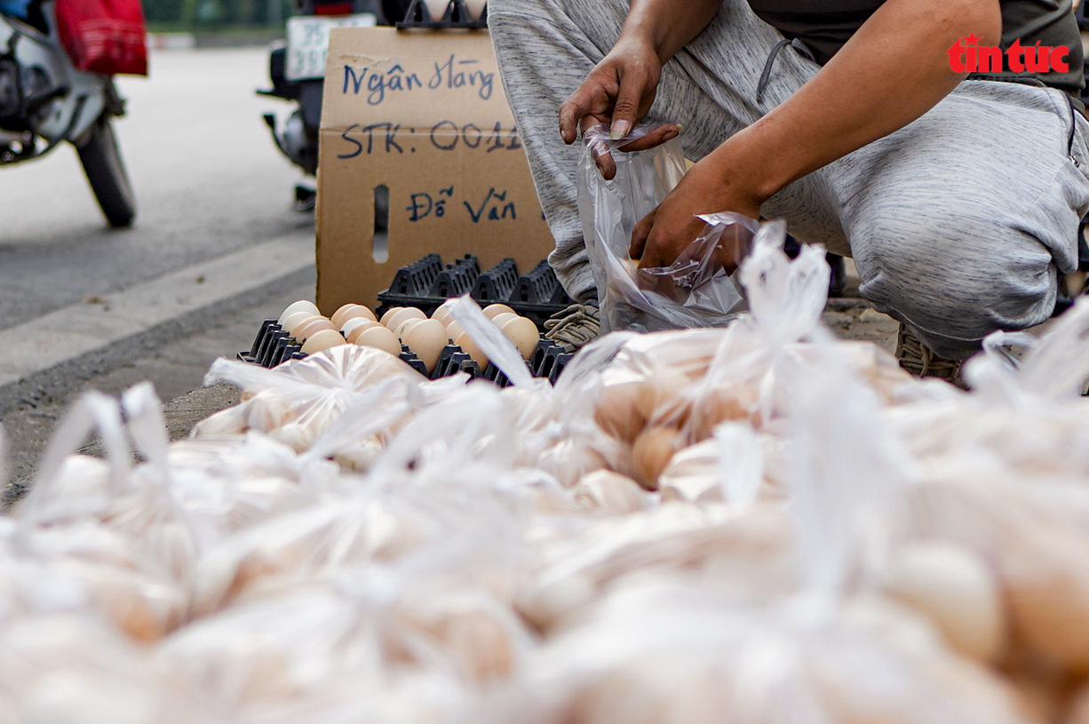 Cần làm rõ nguồn gốc những quả trứng gà, vịt giải cứu ở Hà Nội - Ảnh 9.