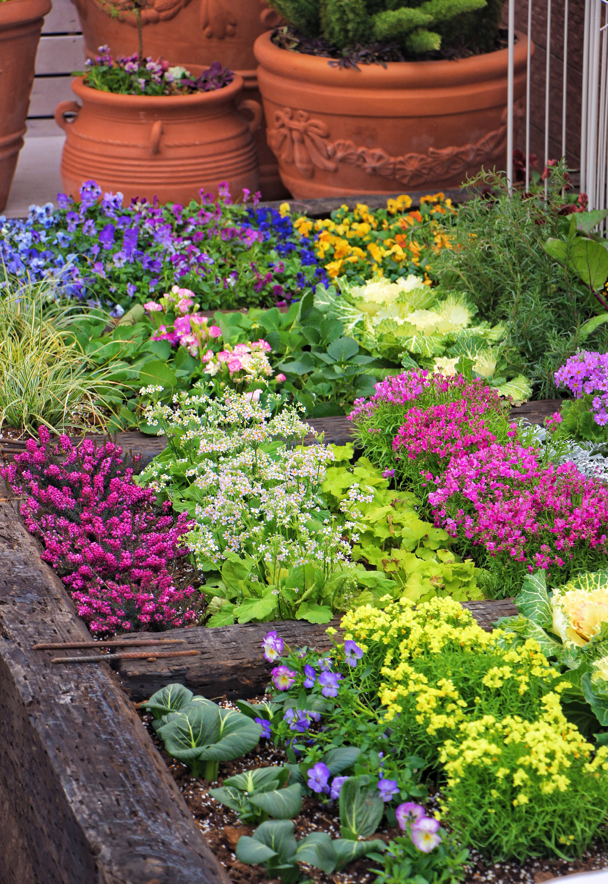 Khu vườn xen kẽ rau và hoa sặc sỡ của chàng trai 9X - Ảnh 6.