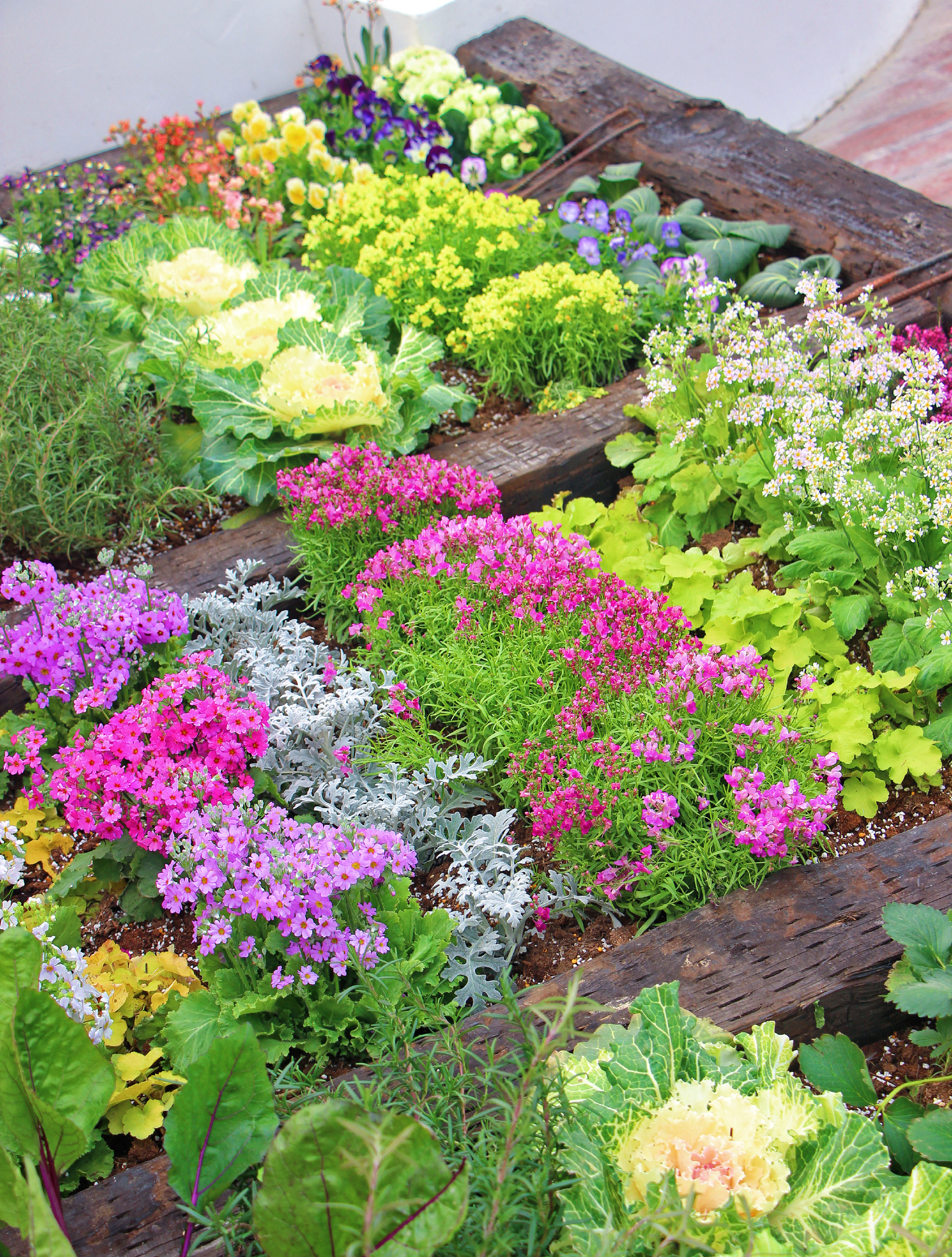 Khu vườn xen kẽ rau và hoa sặc sỡ của chàng trai 9X - Ảnh 5.