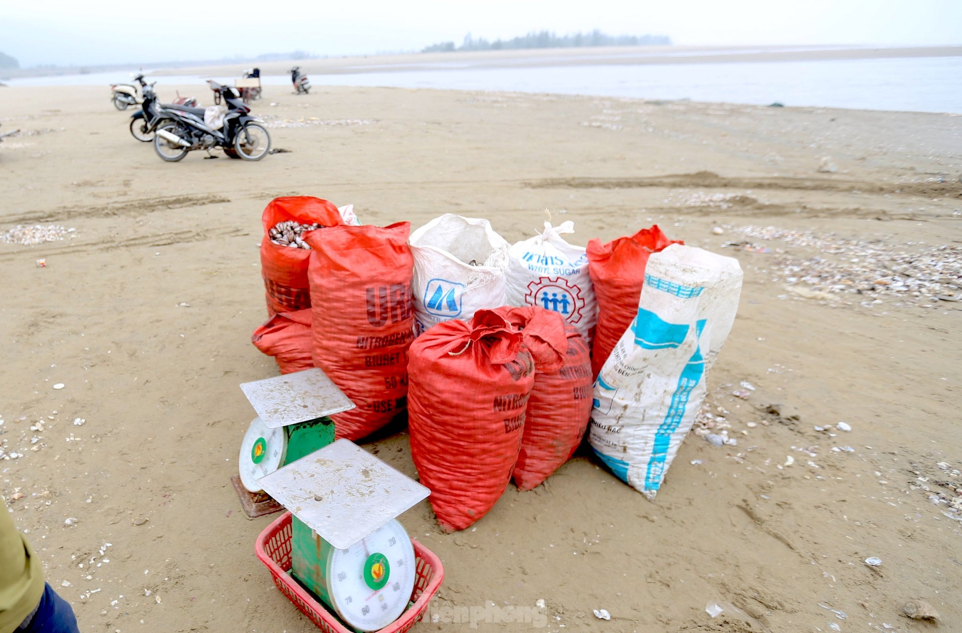 Hàng trăm người ngâm mình trong giá lạnh để săn lộc trời - Ảnh 9.