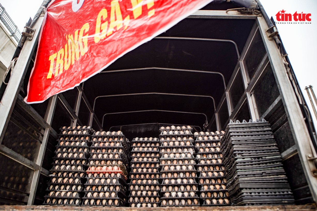 Cần làm rõ nguồn gốc những quả trứng gà, vịt giải cứu ở Hà Nội - Ảnh 4.