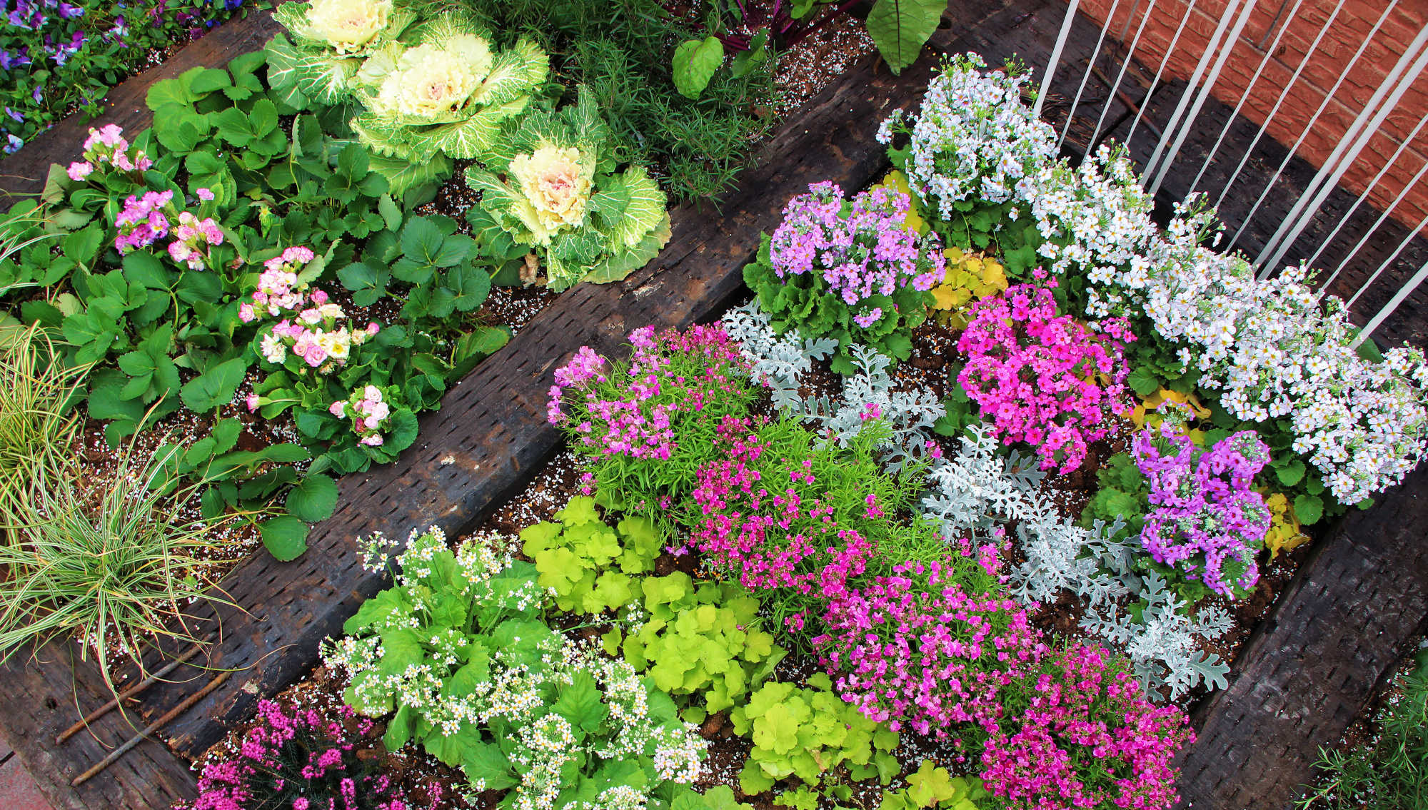 Khu vườn xen kẽ rau và hoa sặc sỡ của chàng trai 9X - Ảnh 2.