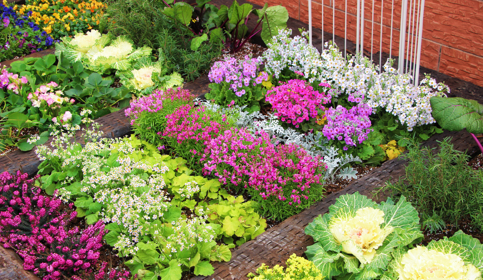 Khu vườn xen kẽ rau và hoa sặc sỡ của chàng trai 9X - Ảnh 1.