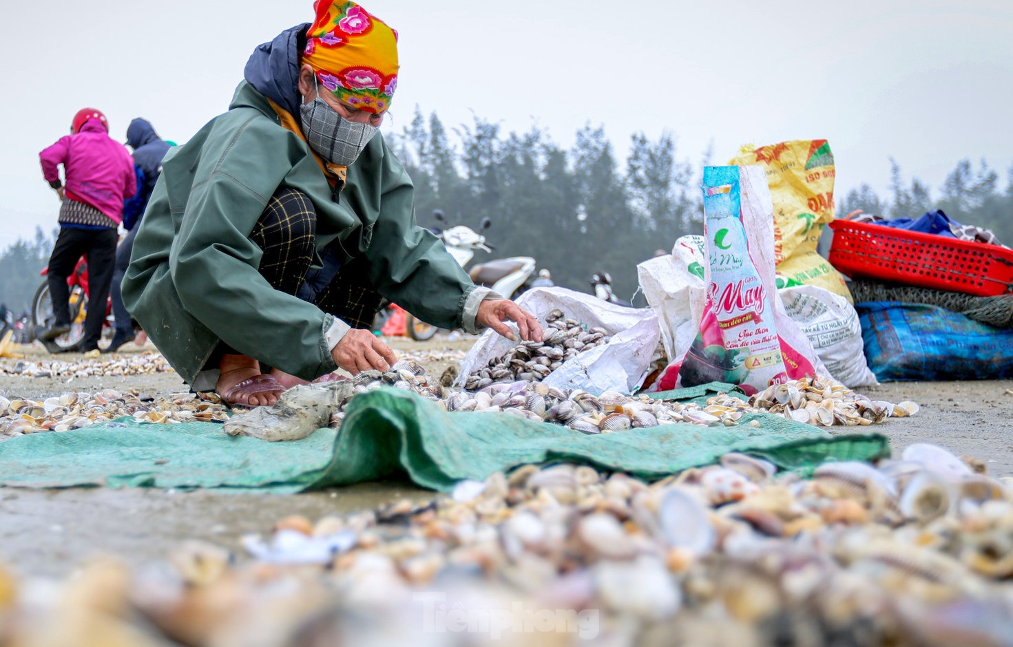 Hàng trăm người ngâm mình trong giá lạnh để săn lộc trời - Ảnh 6.