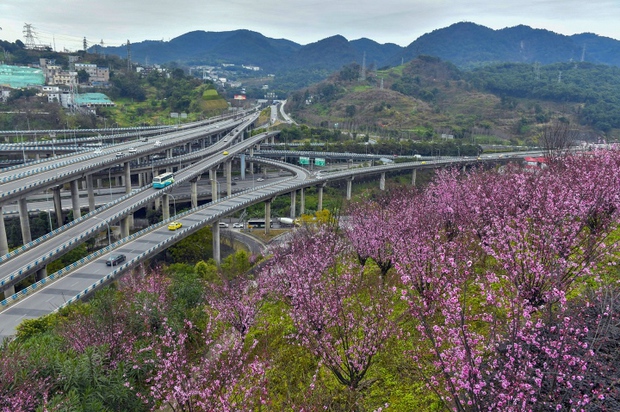 Cận cảnh hệ thống giao lộ phức tạp nhất thế giới ở Trung Quốc - Ảnh 5.