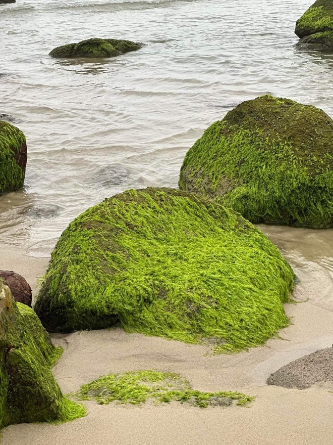 Chi Pu đăng ảnh check-in sang chảnh ở thiên đường Bali nhưng dân tình lại ngỡ Việt Nam chỉ vì một chi tiết này - Ảnh 13.