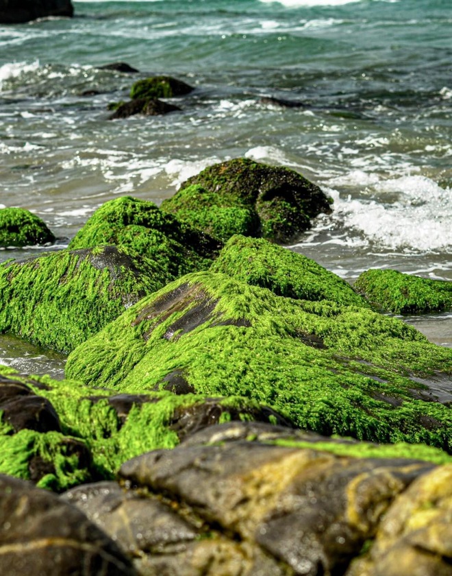 Chi Pu đăng ảnh check-in sang chảnh ở thiên đường Bali nhưng dân tình lại ngỡ Việt Nam chỉ vì một chi tiết này - Ảnh 11.