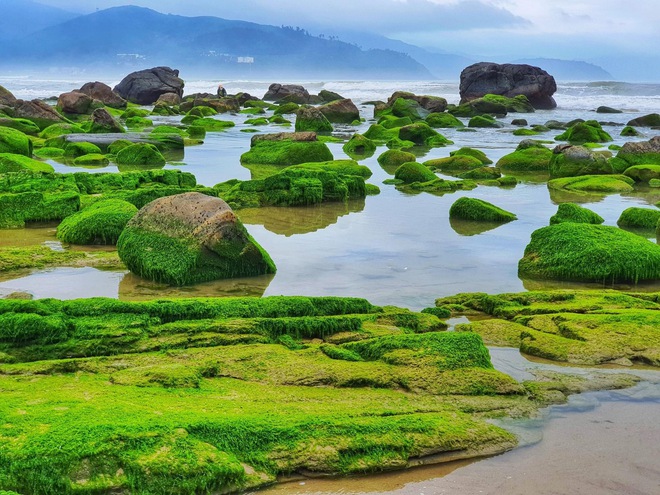 Chi Pu đăng ảnh check-in sang chảnh ở thiên đường Bali nhưng dân tình lại ngỡ Việt Nam chỉ vì một chi tiết này - Ảnh 17.