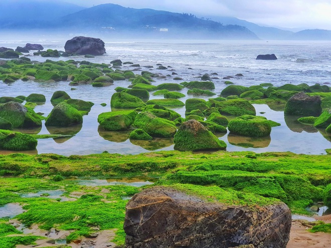 Chi Pu đăng ảnh check-in sang chảnh ở thiên đường Bali nhưng dân tình lại ngỡ Việt Nam chỉ vì một chi tiết này - Ảnh 16.