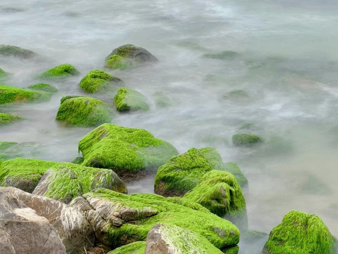 Chi Pu đăng ảnh check-in sang chảnh ở thiên đường Bali nhưng dân tình lại ngỡ Việt Nam chỉ vì một chi tiết này - Ảnh 15.