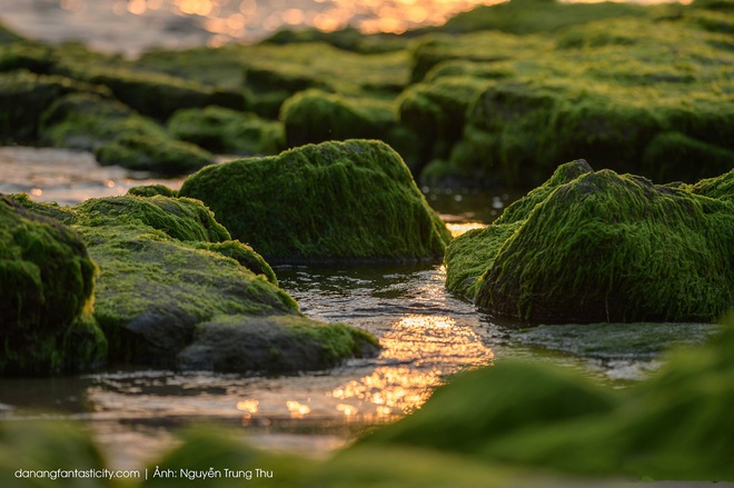 Chi Pu đăng ảnh check-in sang chảnh ở thiên đường Bali nhưng dân tình lại ngỡ Việt Nam chỉ vì một chi tiết này - Ảnh 14.