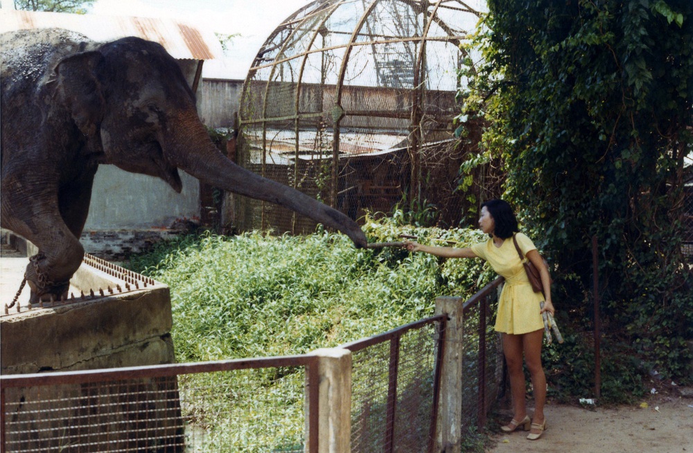  Có gì ở Thảo Cầm Viên - sở thú hot nhất lúc này, đạt doanh thu kỷ lục cao nhất lịch sử trong năm vừa qua? - Ảnh 6.