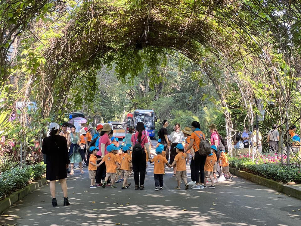  Có gì ở Thảo Cầm Viên - sở thú hot nhất lúc này, đạt doanh thu kỷ lục cao nhất lịch sử trong năm vừa qua? - Ảnh 14.