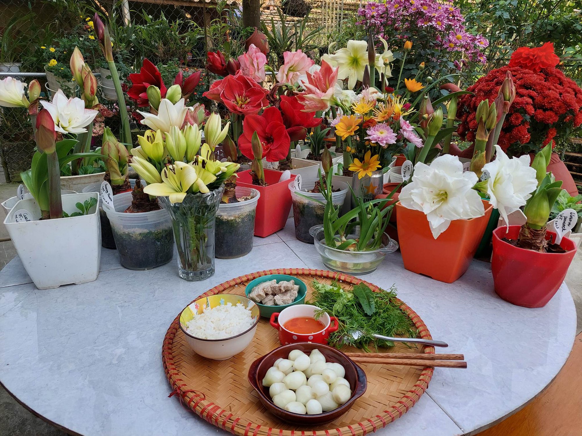 Khu vườn hơn 50 loài hoa đua nhau khoe sắc, rau quả tốt tươi ở Yên Bái - Ảnh 9.