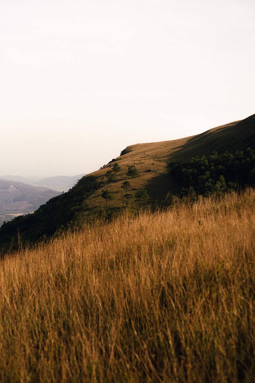 Dân mạng thi nhau truy lùng toạ độ check-in của Đen Vâu: Cả ngọn đồi xanh mướt cứ ngỡ đồng cỏ Windows - Ảnh 5.