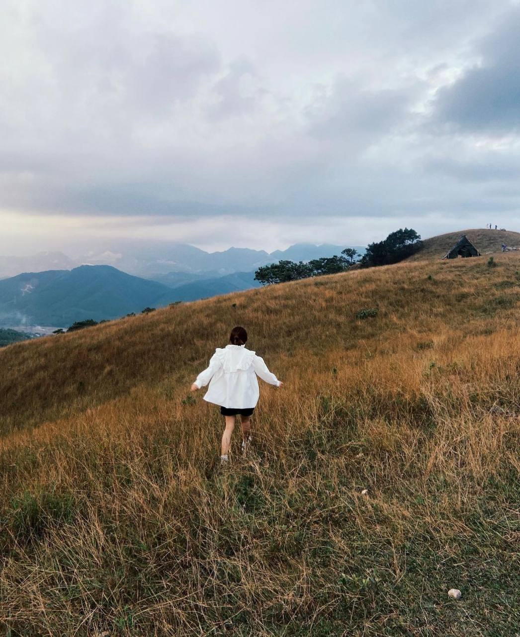 Dân mạng thi nhau truy lùng toạ độ check-in của Đen Vâu: Cả ngọn đồi xanh mướt cứ ngỡ đồng cỏ Windows - Ảnh 15.