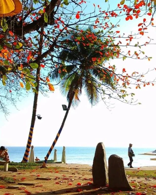 Nha Trang đang ở mùa đẹp nhất, đến đây sẽ hiểu lý do tại sao là địa điểm du lịch hấp dẫn cho các gia đình - Ảnh 3.