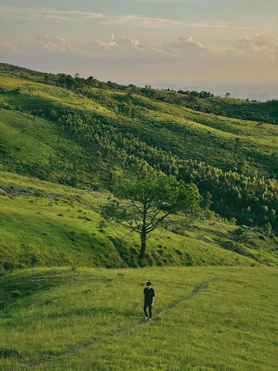 Dân mạng thi nhau truy lùng toạ độ check-in của Đen Vâu: Cả ngọn đồi xanh mướt cứ ngỡ đồng cỏ Windows - Ảnh 8.