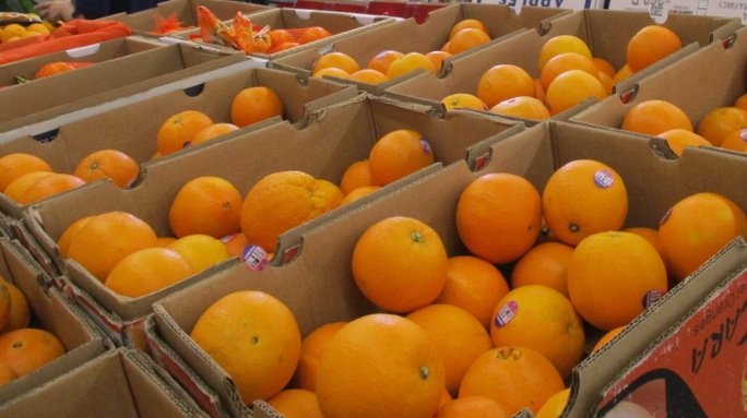 Giữa lúc cam sành đang được giải cứu, người tiêu dùng vẫn thích mua cam ngoại - Ảnh 2.
