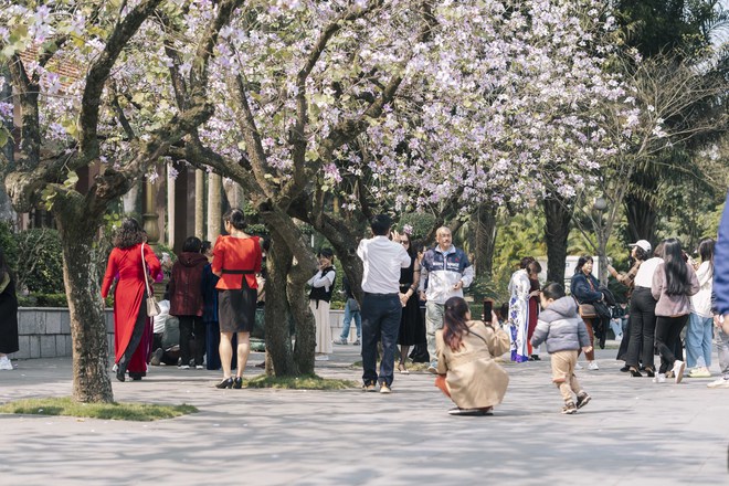  Đông nghịt người kéo đến con đường hoa ban tím ở Hà Nội trong ngày cuối tuần, đúng là trời nắng đẹp có khác! - Ảnh 4.