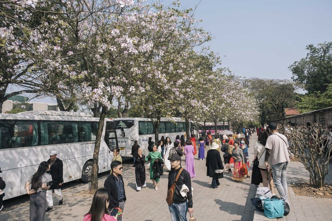  Đông nghịt người kéo đến con đường hoa ban tím ở Hà Nội trong ngày cuối tuần, đúng là trời nắng đẹp có khác! - Ảnh 1.