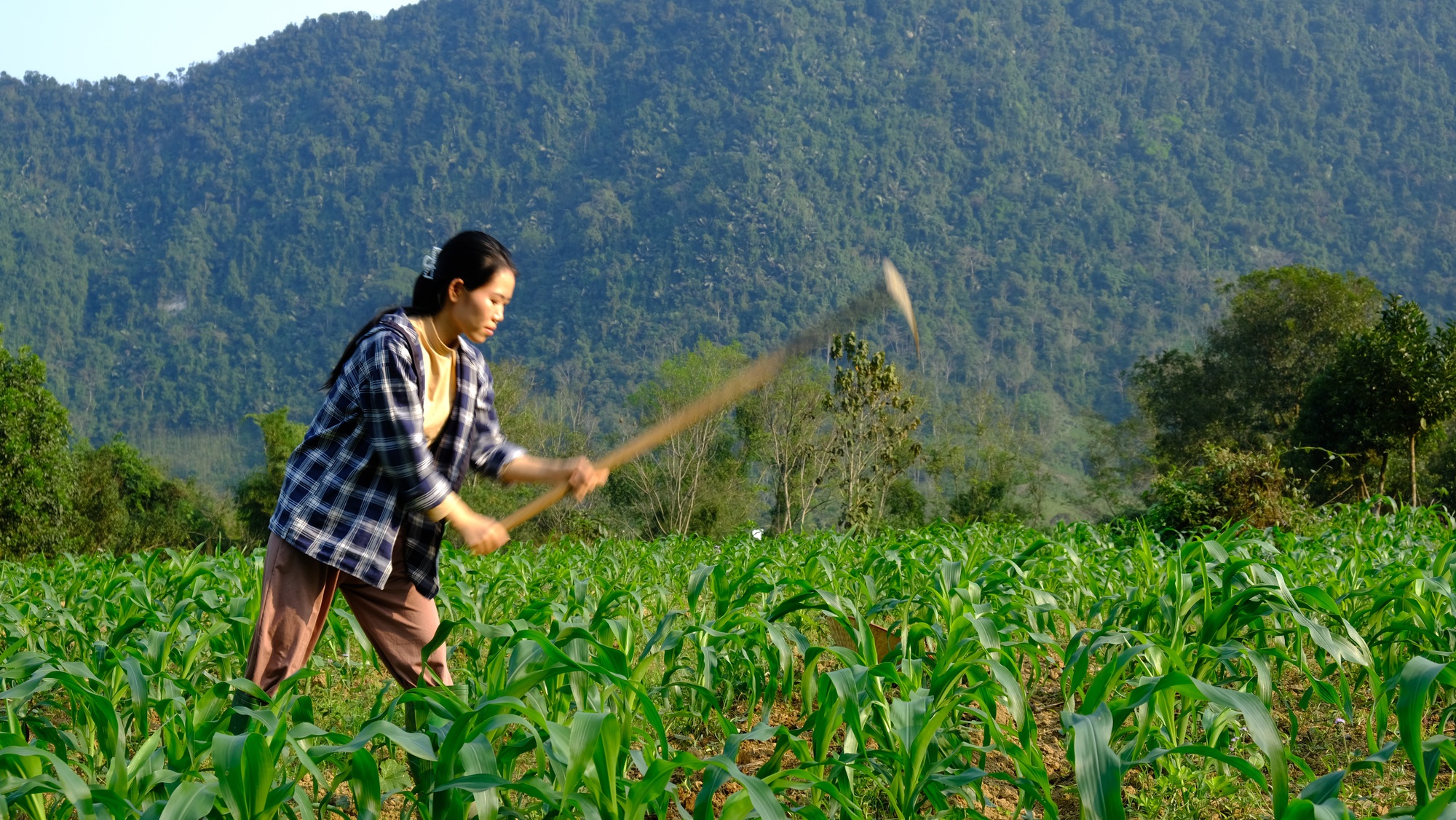 Vợ chồng trẻ rời Hà Nội về với núi rừng Tây Bắc: Sau 1 năm có được như mơ ước? - Ảnh 12.
