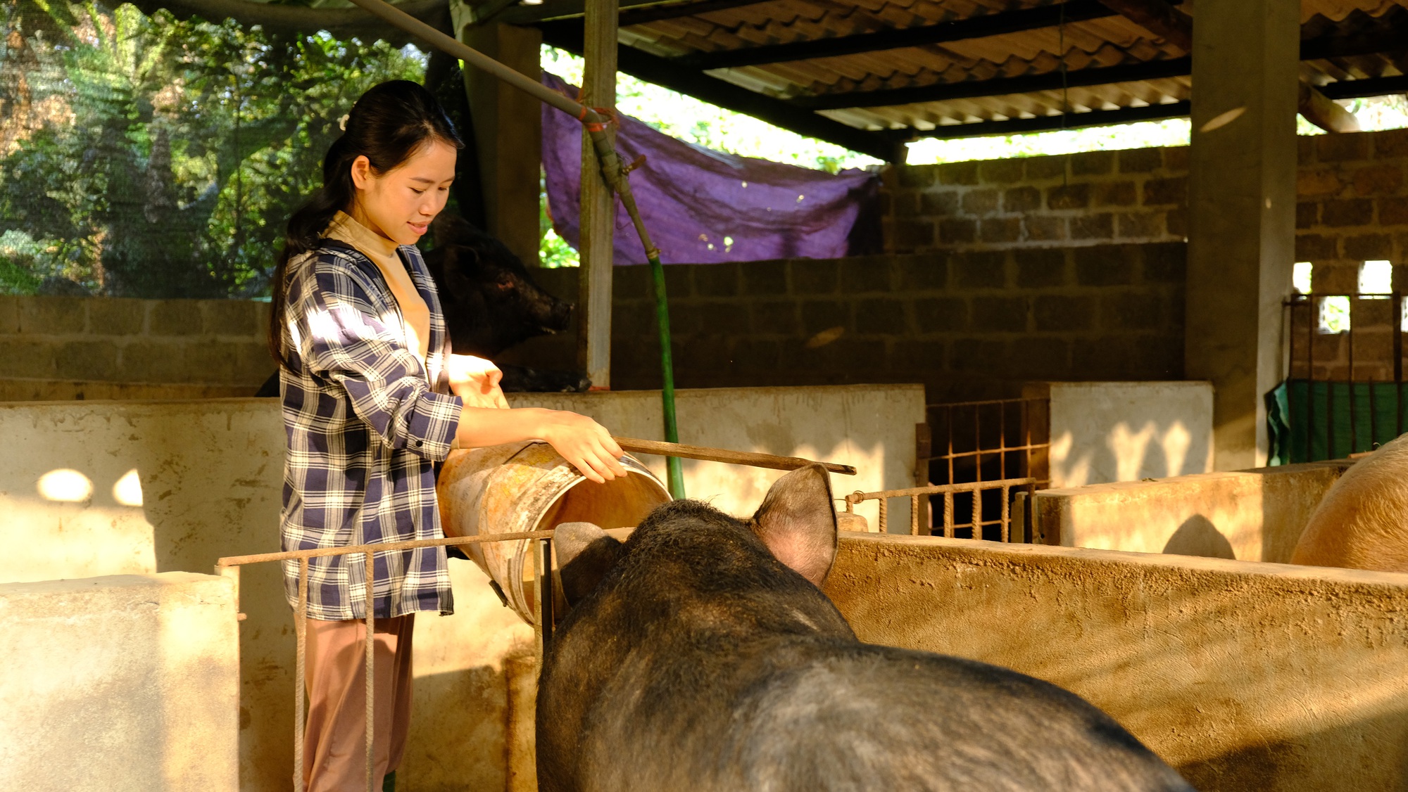 Vợ chồng trẻ rời Hà Nội về với núi rừng Tây Bắc: Sau 1 năm có được như mơ ước? - Ảnh 3.