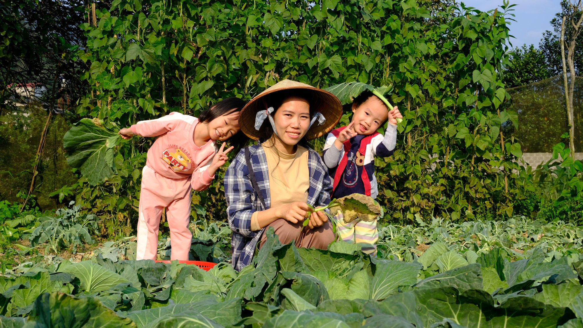 Vợ chồng trẻ rời Hà Nội về với núi rừng Tây Bắc: Sau 1 năm có được như mơ ước? - Ảnh 10.