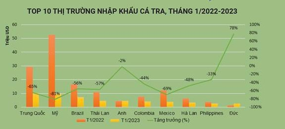 Tín hiệu tích cực cho xuất khẩu cá tra sang Trung Quốc từ Q2/2023, doanh nghiệp nào sẽ hưởng lợi? - Ảnh 1.