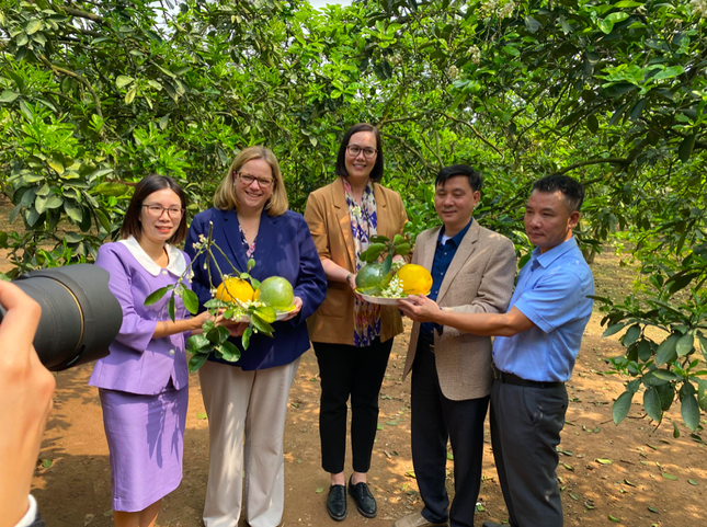 Hai thứ trưởng Mỹ thăm vườn bưởi Hoài Đức - Ảnh 3.