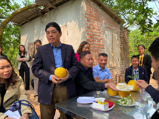 Hai thứ trưởng Mỹ thăm vườn bưởi Hoài Đức - Ảnh 2.