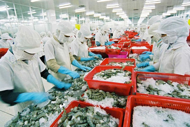 Thêm 23 doanh nghiệp thủy sản được xuất khẩu vào Trung Quốc - Ảnh 1.