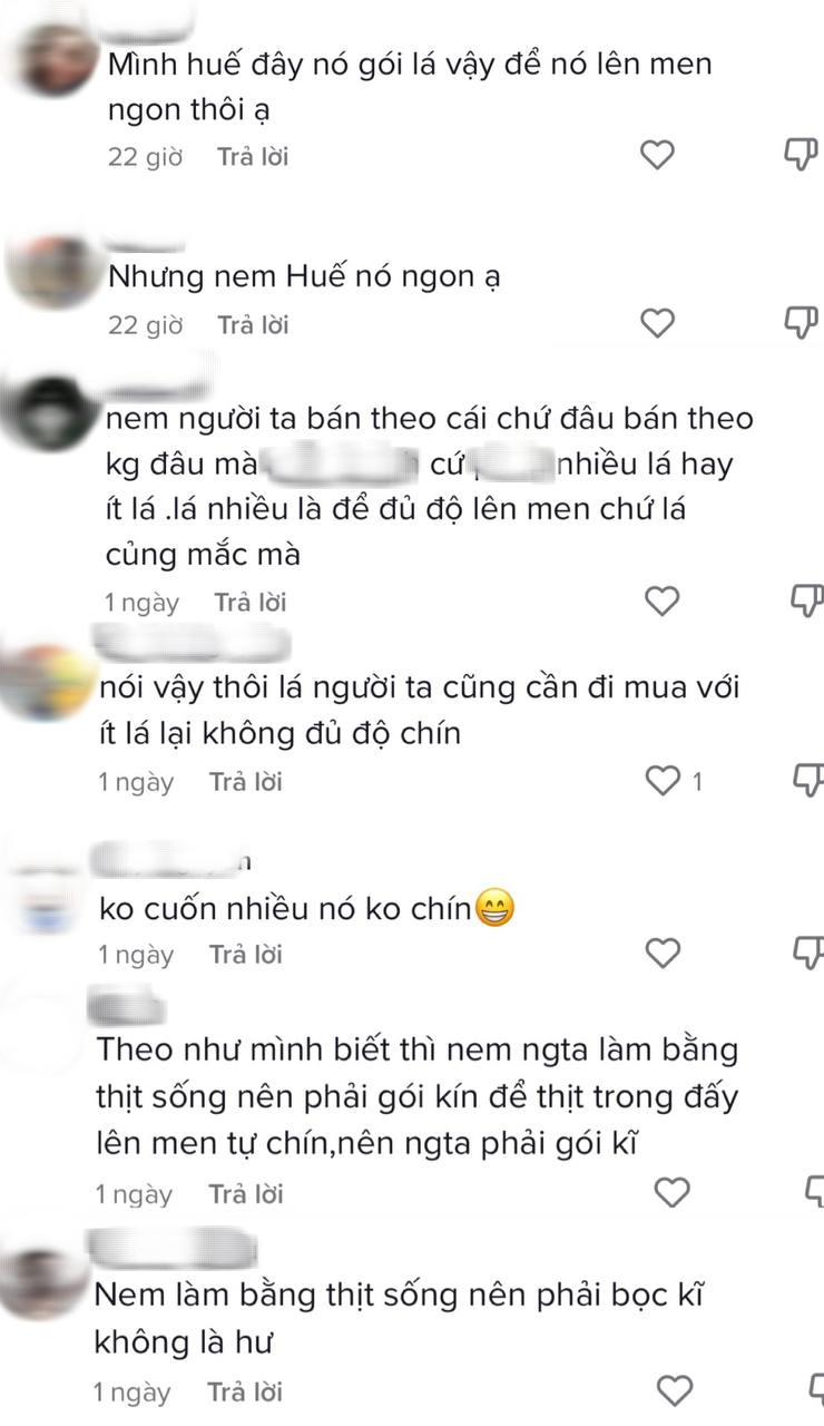 Món nem chua bị chê ‘9 nghìn lá 1 nghìn nem’: Dân mạng lập tức lên tiếng giải oan - Ảnh 6.