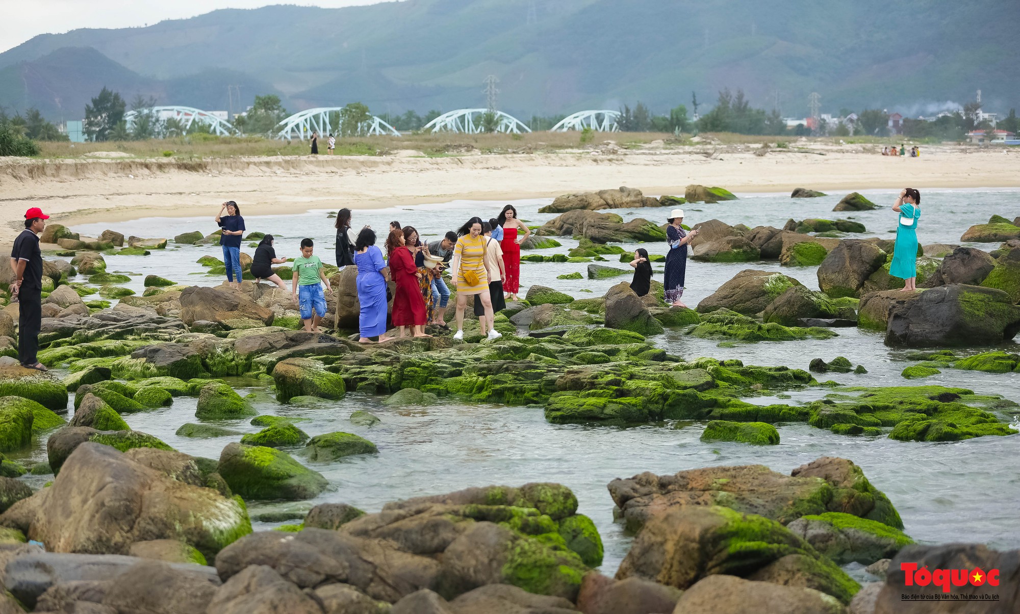 Người dân và du khách thích thú check-in mùa rêu xanh tại rạn Nam Ô - Ảnh 16.