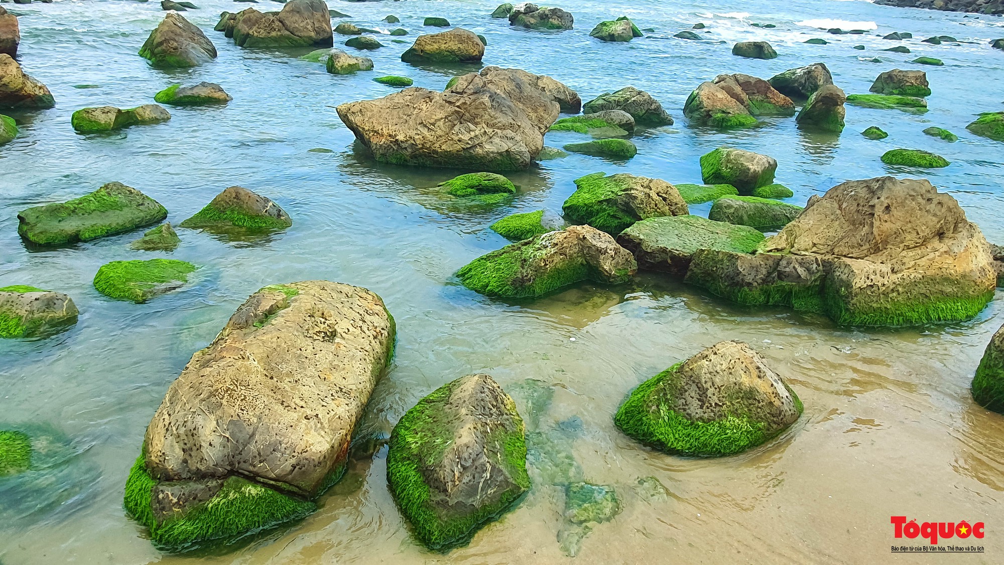 Người dân và du khách thích thú check-in mùa rêu xanh tại rạn Nam Ô - Ảnh 2.